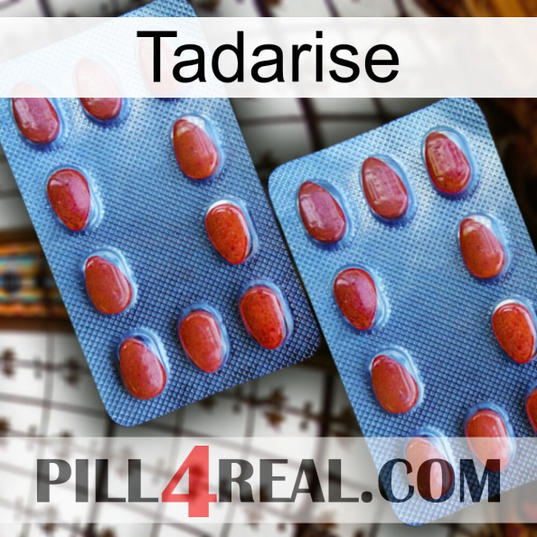 Tadarise 05.jpg